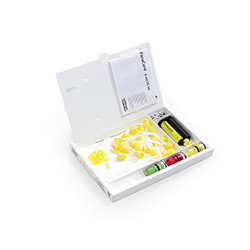 ParaCore automix, White refill